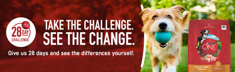 Take the challenge, see the change with Purina ONE®. Give us 28 days and see the differences yourself.